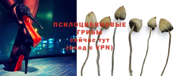 крисы Абаза