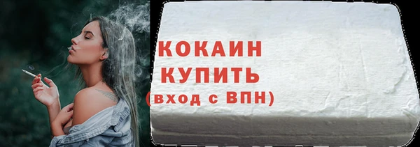 крисы Абаза