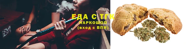 крисы Абаза