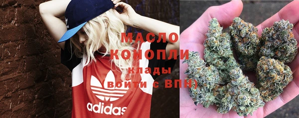 крисы Абаза