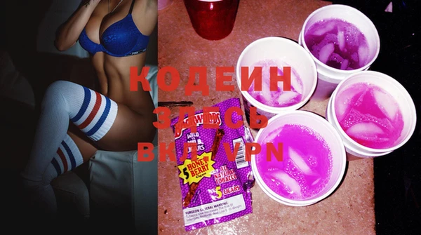 крисы Абаза