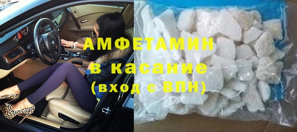 крисы Абаза